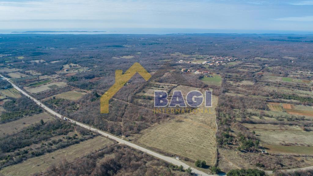 Terreno edificabile Čabrunići, Svetvinčenat, 31.481m2