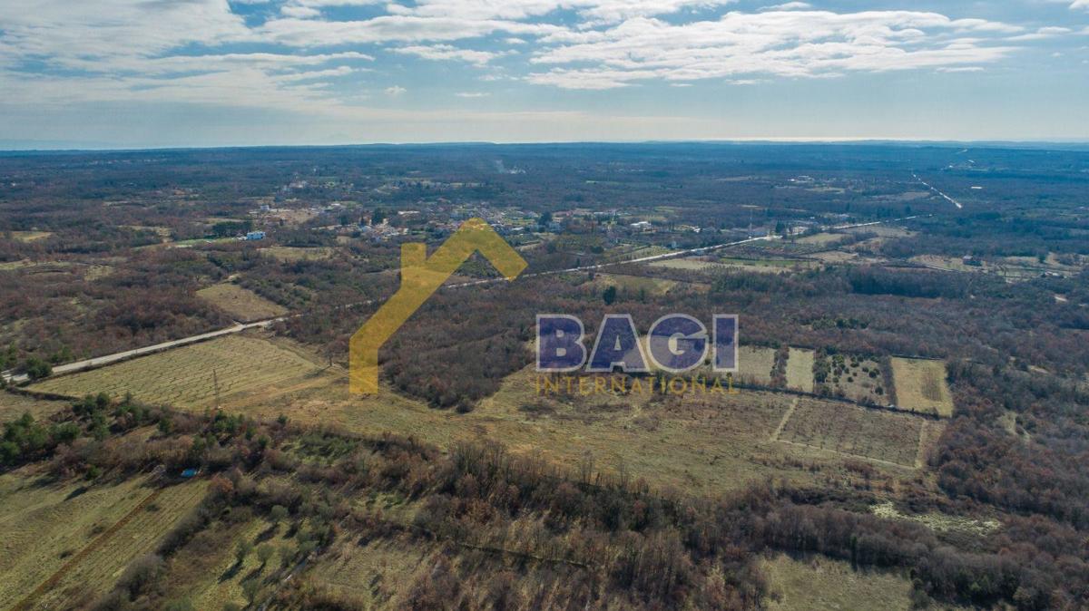 Terreno edificabile Čabrunići, Svetvinčenat, 31.481m2