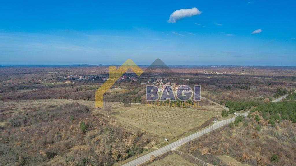 Terreno edificabile Čabrunići, Svetvinčenat, 31.481m2