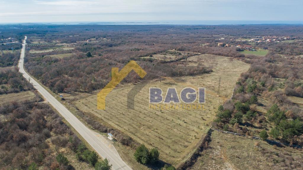 Terreno edificabile Čabrunići, Svetvinčenat, 31.481m2