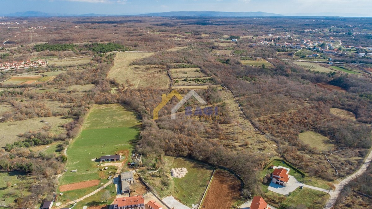 Terreno edificabile Čabrunići, Svetvinčenat, 31.481m2