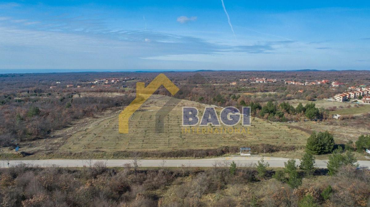 Terreno edificabile Čabrunići, Svetvinčenat, 31.481m2