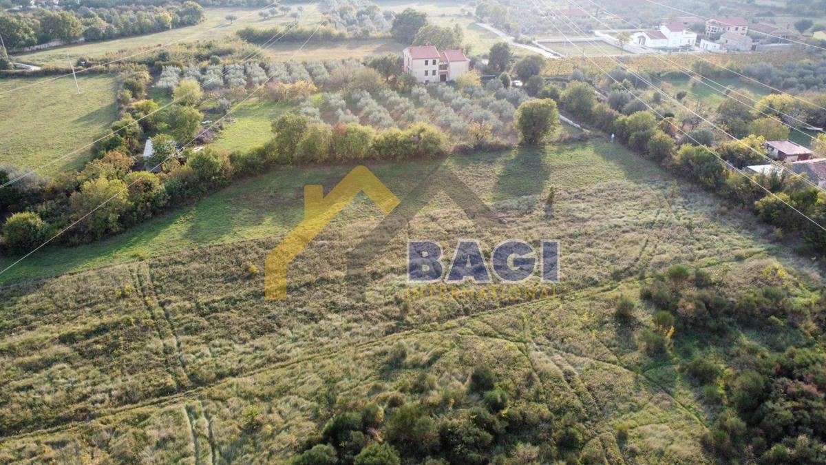 Terreni agricoli Galižana, Vodnjan, 3.533m2