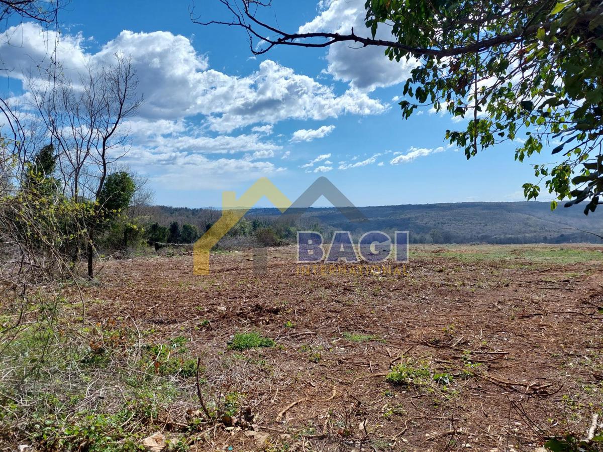 Istra-Barban-Stancija su 2000m2 con piscina