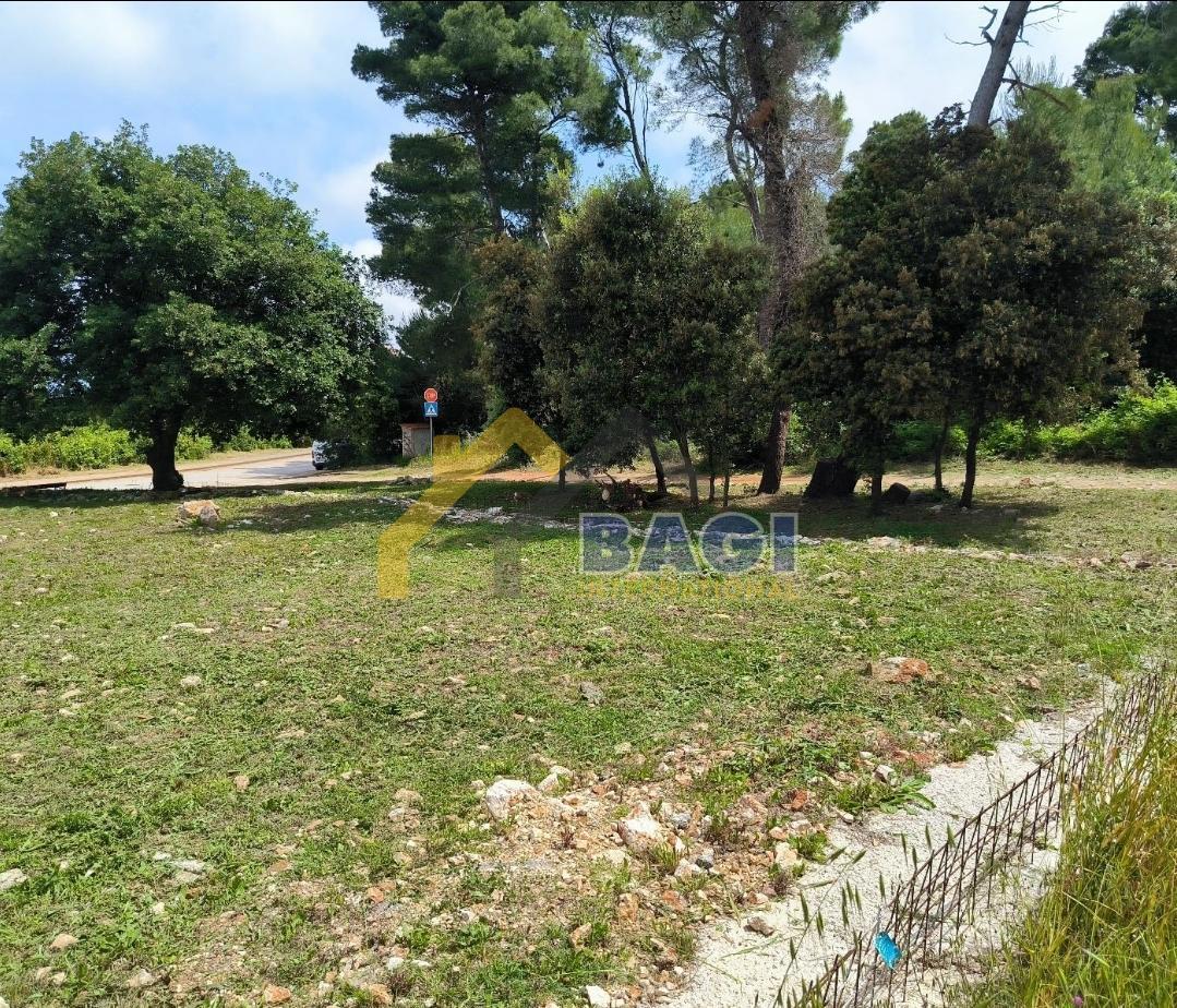 TERRENO EDIFICABILE IN POSIZIONE ECCEZIONALE CON PERMESSO DI COSTRUZIONE CON VISTA A 50 m DAL MARE