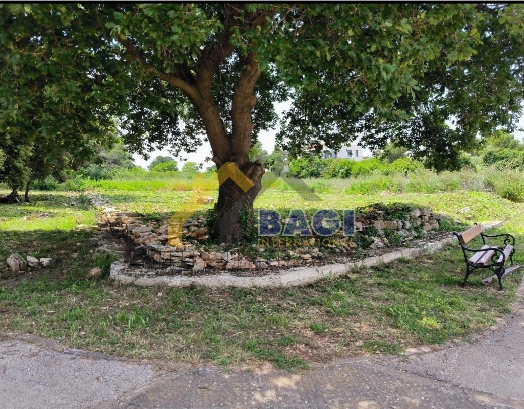 TERRENO EDIFICABILE IN POSIZIONE ECCEZIONALE CON PERMESSO DI COSTRUZIONE CON VISTA A 50 m DAL MARE