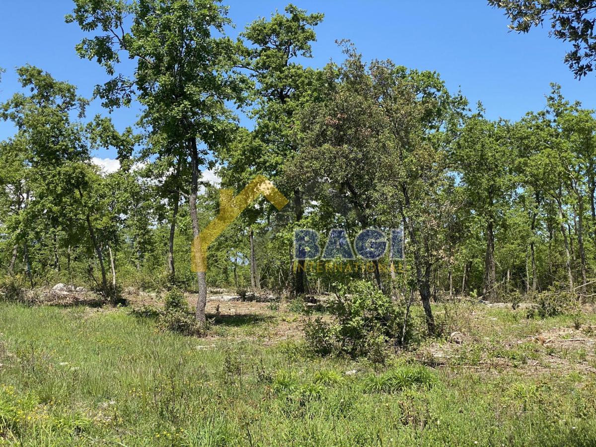 Terreno edificabile Peruški, Marčana, 629m2