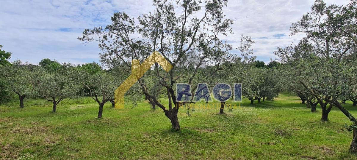 Terreni agricoli Peruški, Marčana, 2.613m2