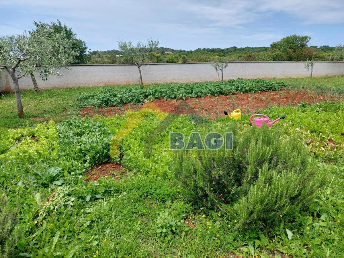 Istria-Pola- Bellissimo piano terra 180m2