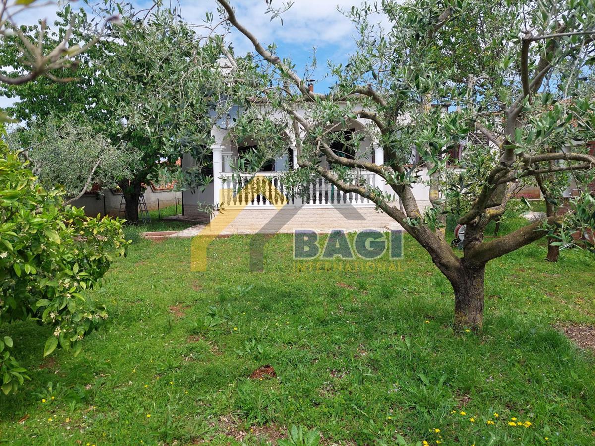 Istria-Pola- Bellissimo piano terra 180m2