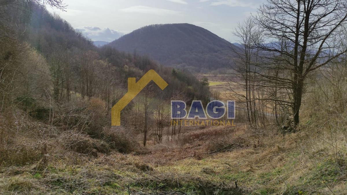 Terreno edificabile Bednja, 12.937m2