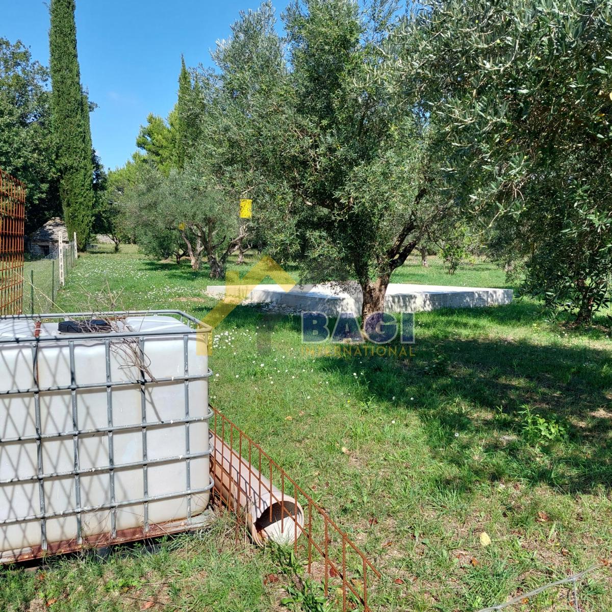 IN VENDITA-ISTRIA-JURŠIĆI-ULIVI 2037m2