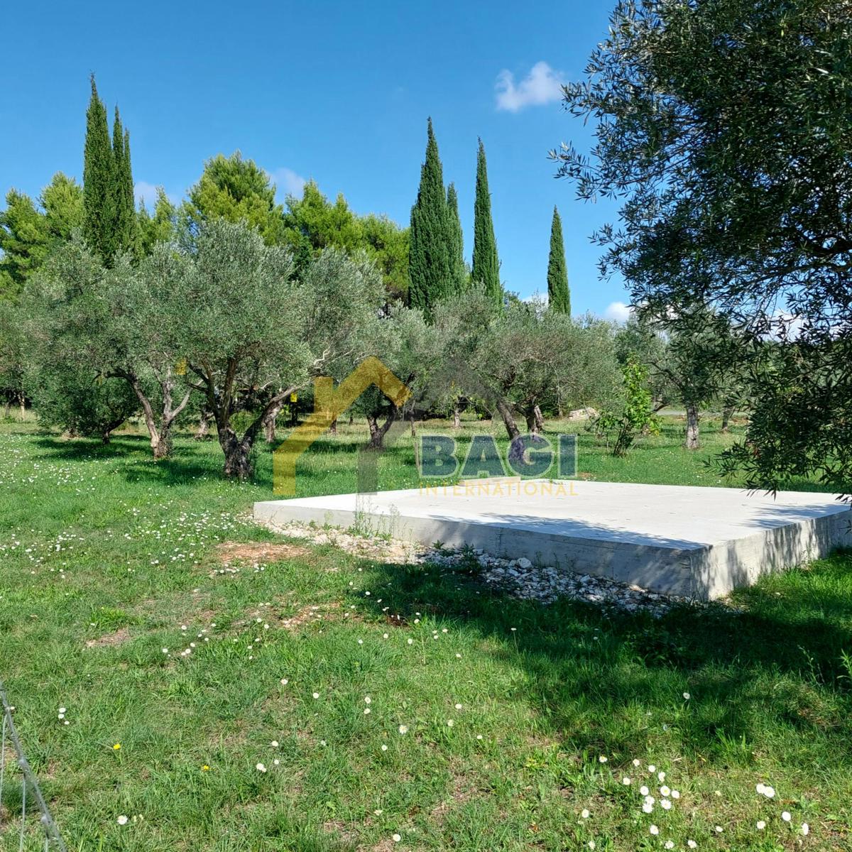 IN VENDITA-ISTRIA-JURŠIĆI-ULIVI 2037m2