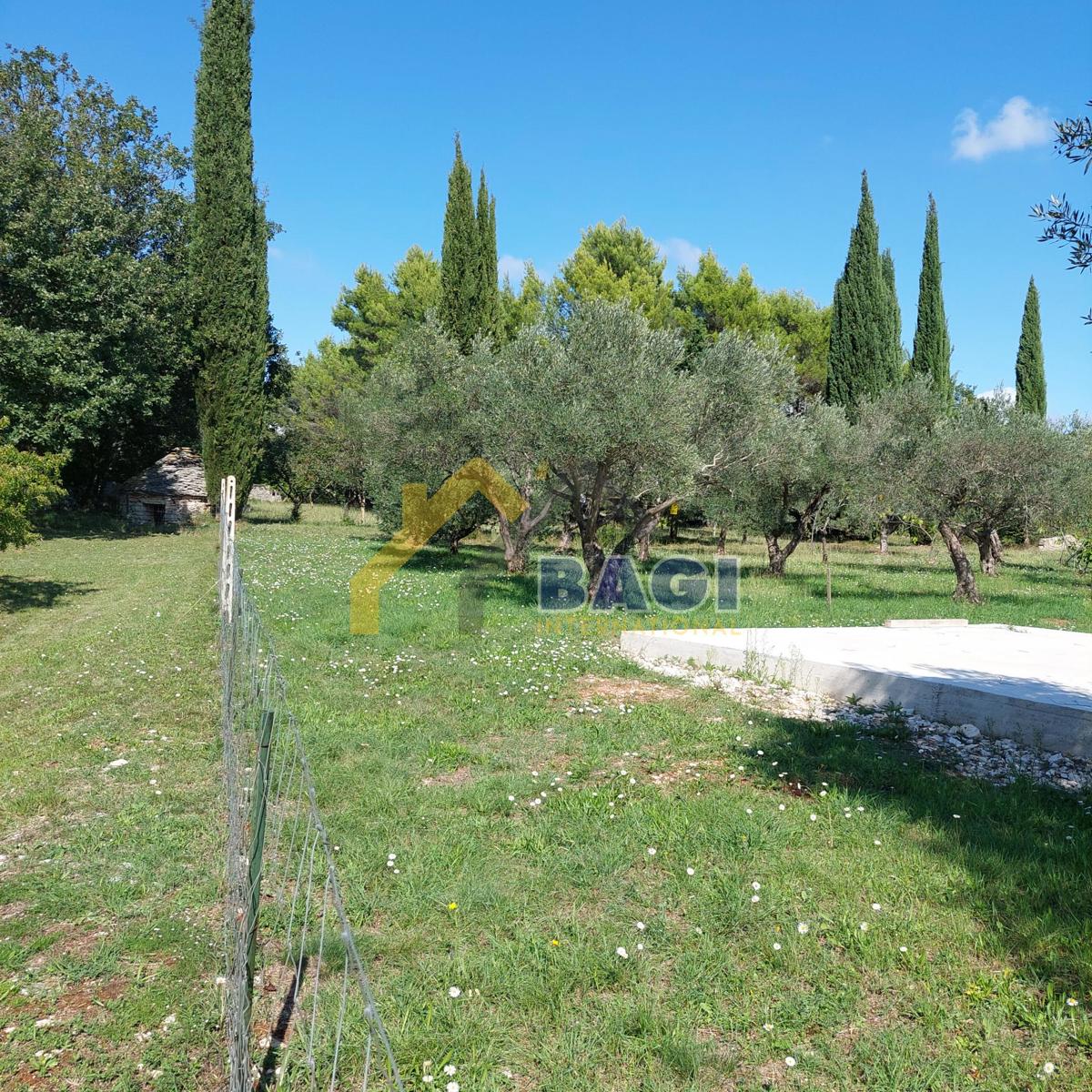 IN VENDITA-ISTRIA-JURŠIĆI-ULIVI 2037m2