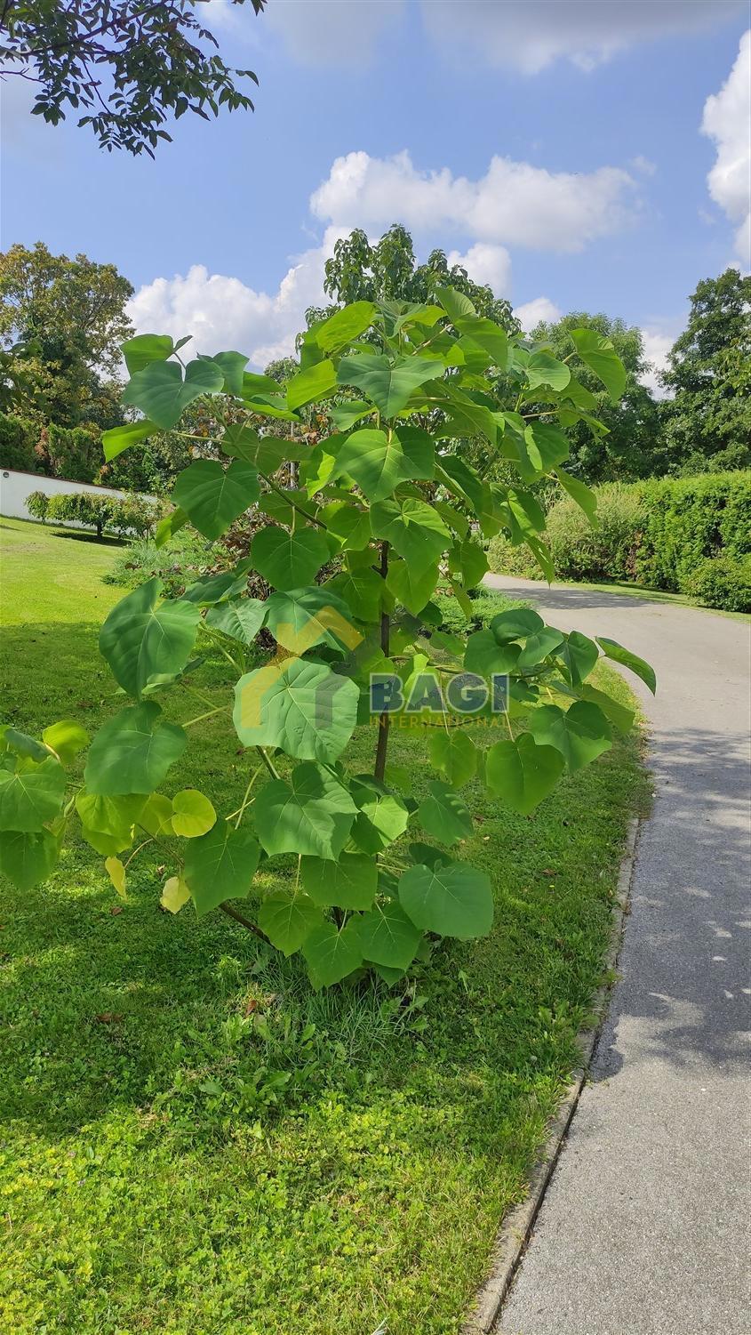 Casa Donji Stupnik, Stupnik, 580m2