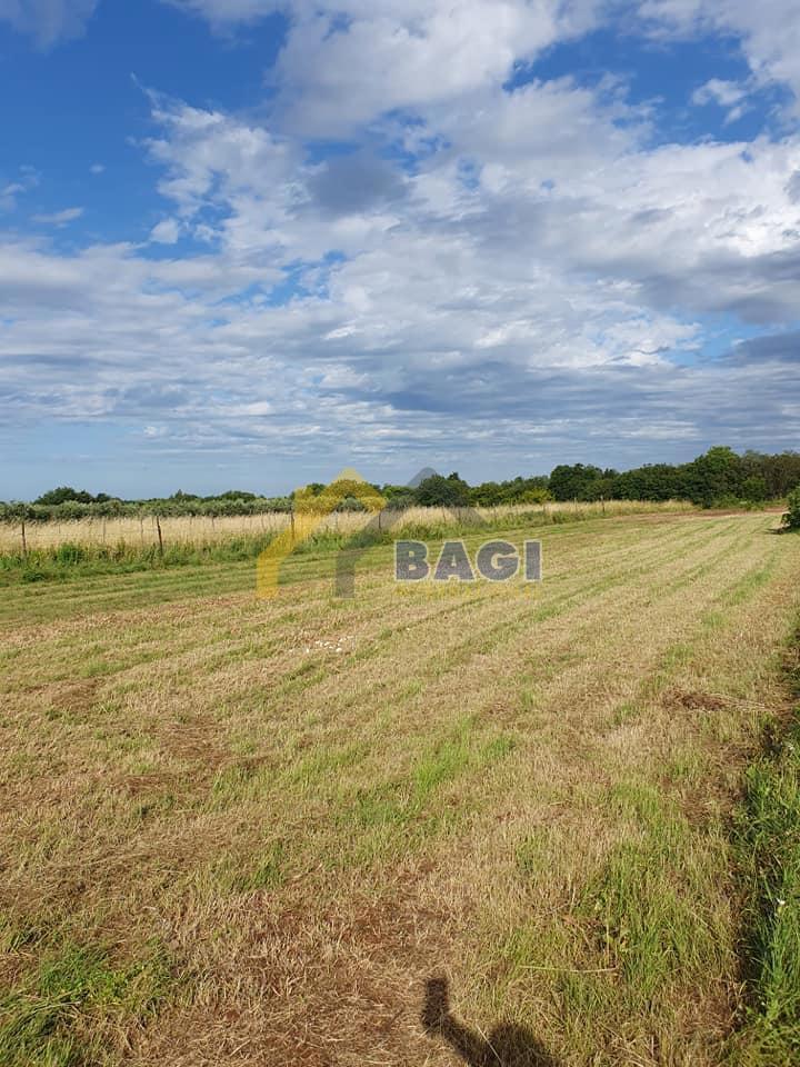 ISTRIA - POLA Terreno edificabile lungo la strada