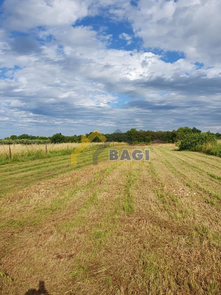 ISTRIA - POLA Terreno edificabile lungo la strada