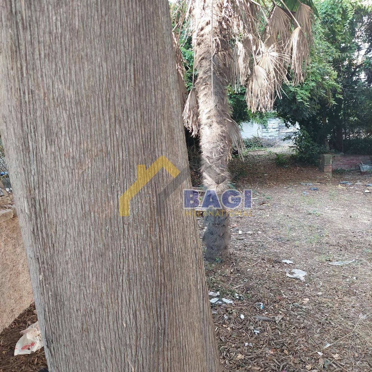 Pola-Centro-Terreno per condominio 511m2