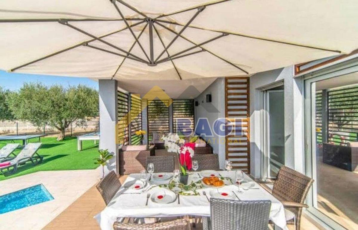 VODNJAN - čudovita vila z oljčnim nasadom