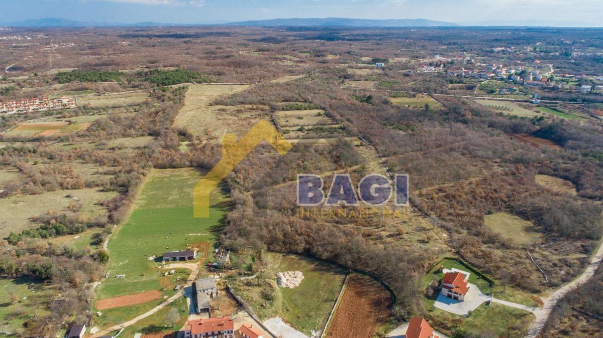 Terreno edificabile Čabrunići, Svetvinčenat, 12.955m2