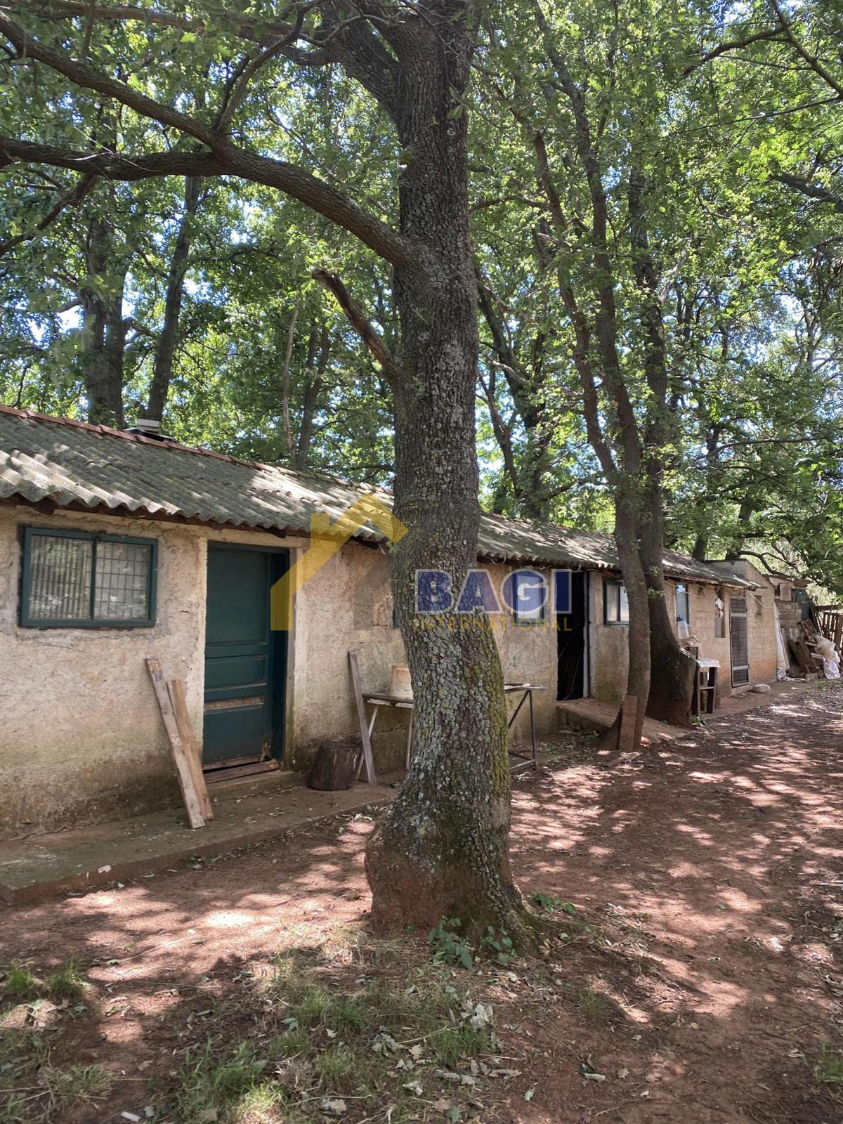 Casa Šišan, Ližnjan, 100m2
