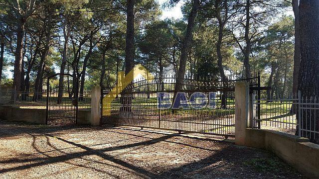 Terreno edificabile Rovinj, 12.058m2