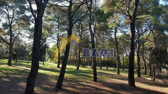 Terreno edificabile Rovinj, 12.058m2