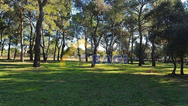 Terreno edificabile Rovinj, 12.058m2