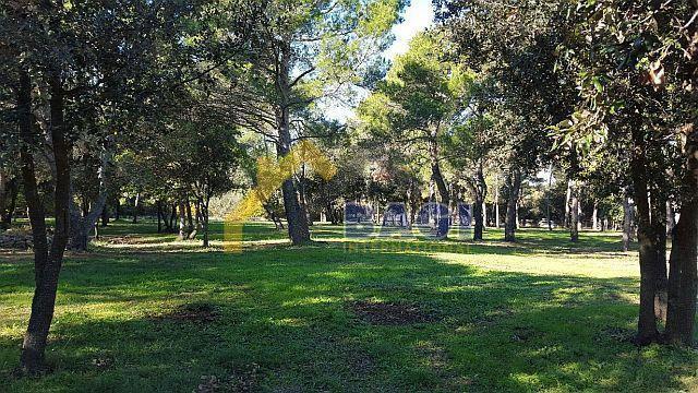 Terreno edificabile Rovinj, 12.058m2