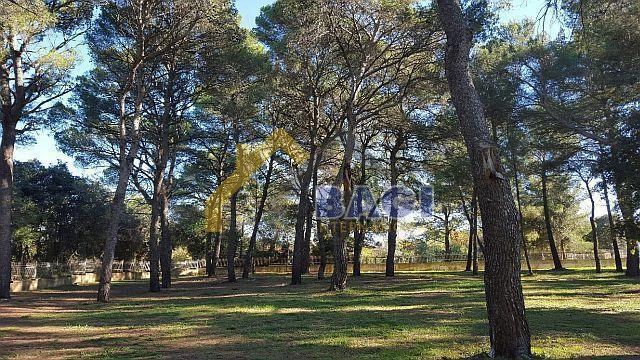 Terreno edificabile Rovinj, 12.058m2