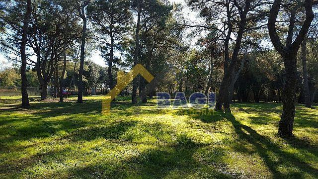 Terreno edificabile Rovinj, 12.058m2