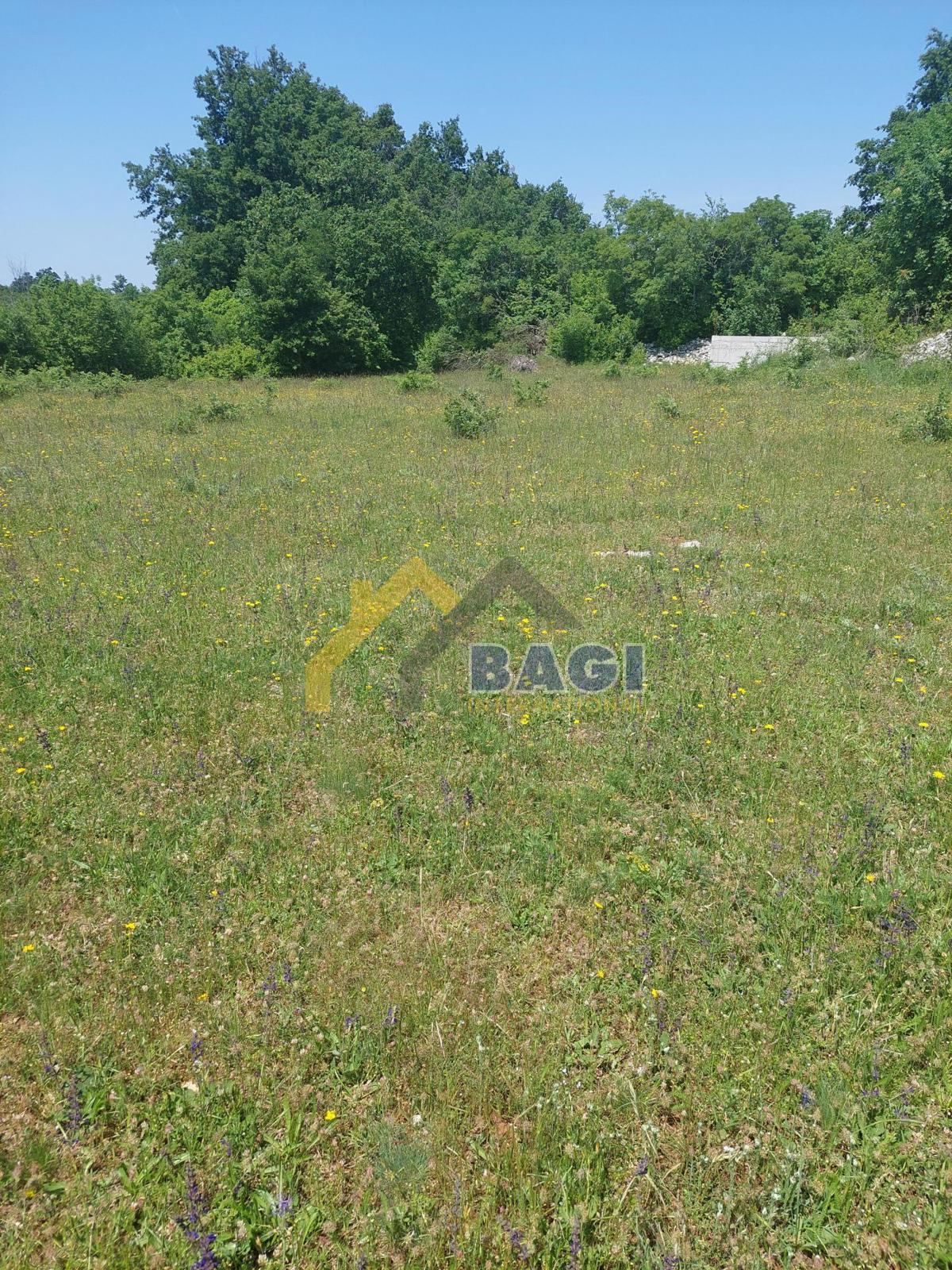 Terreno edificabile Juršići, Svetvinčenat, 20.000m2