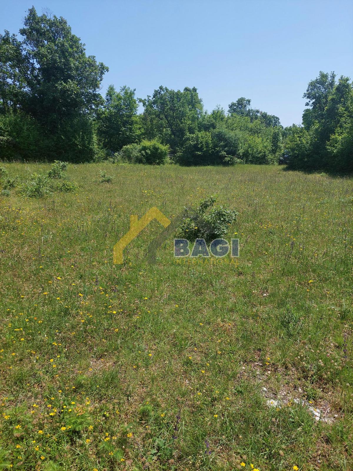 Terreno edificabile Juršići, Svetvinčenat, 20.000m2