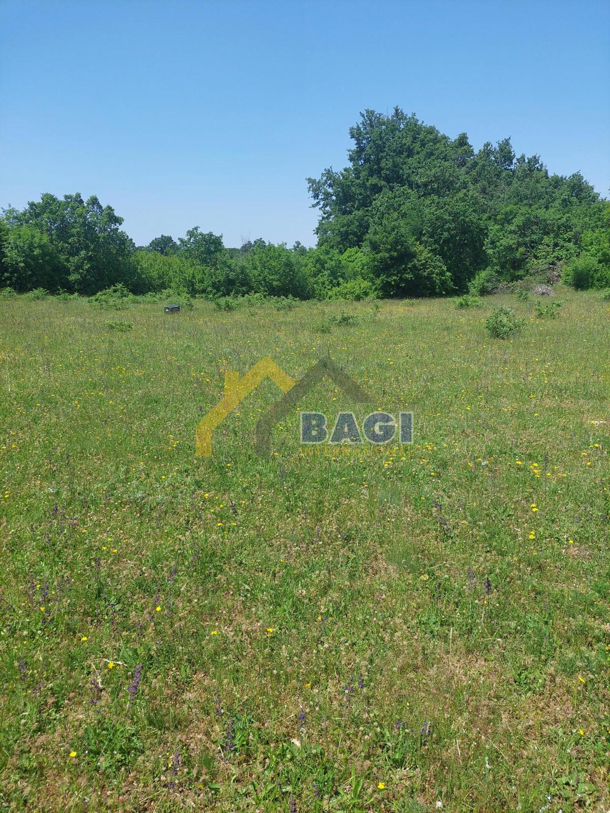 Terreno edificabile Juršići, Svetvinčenat, 20.000m2