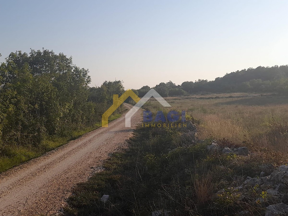 ROVIGNO - terreno agricolo con casa!