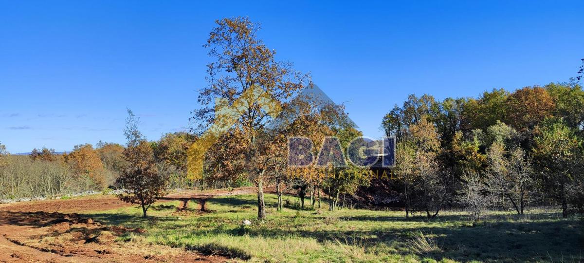 Terreno edificabile Rojnići 910m2