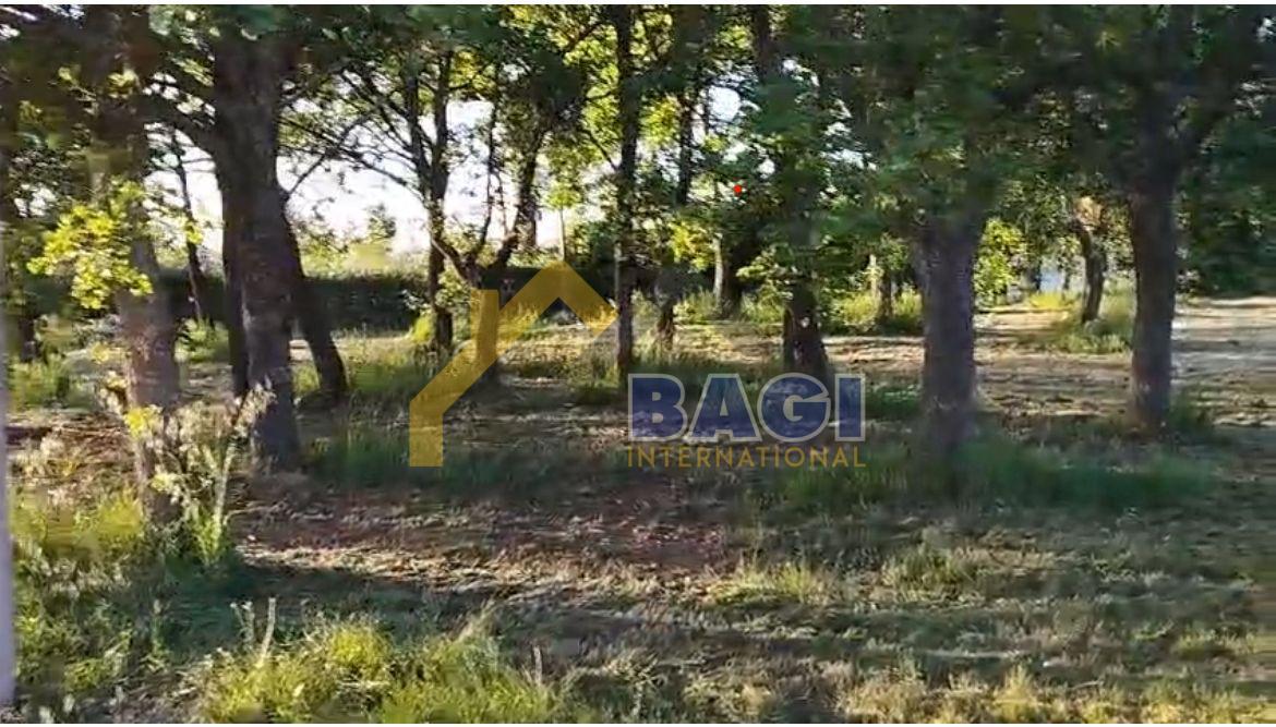 TERRENO EDIFICABILE NEI DINTORNI DI PARENZO CON PERMESSO DI COSTRUZIONE