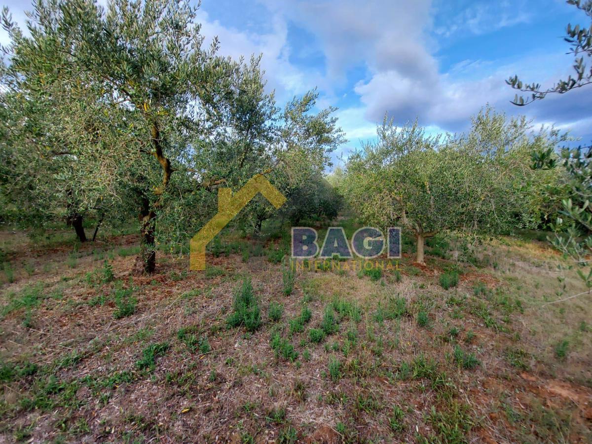 Terreni agricoli Medulin, 2.808m2