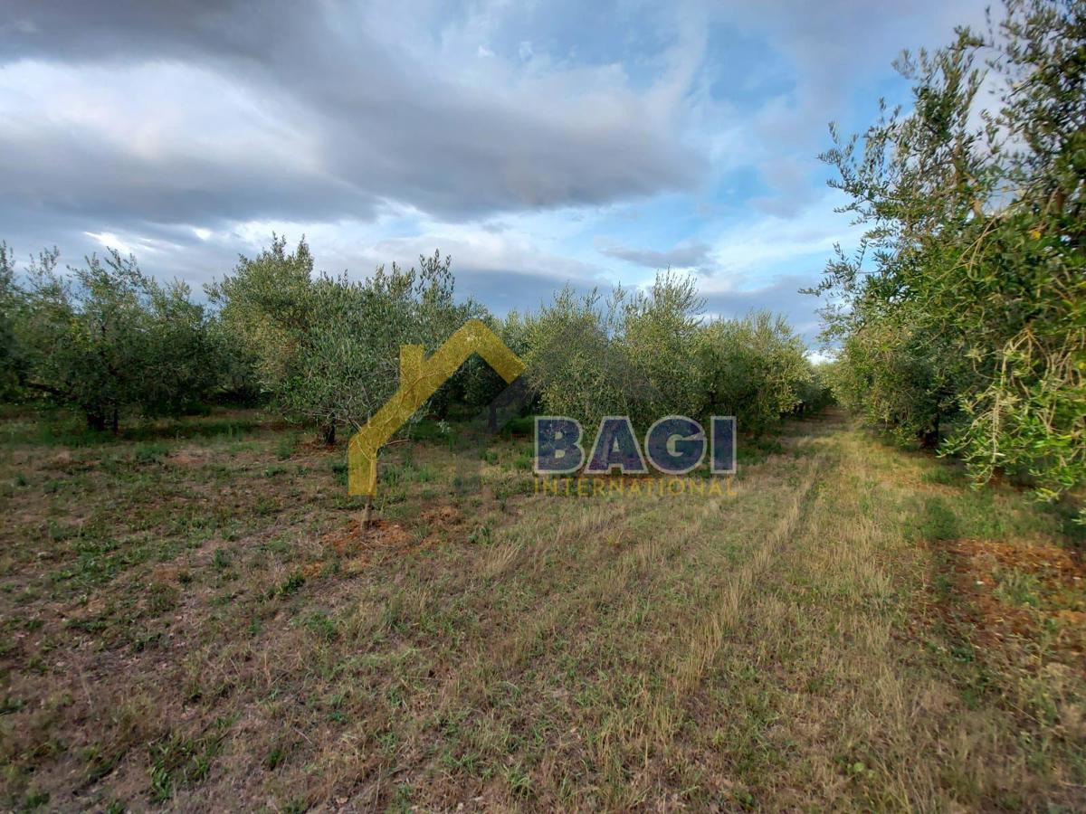 Terreni agricoli Medulin, 2.808m2