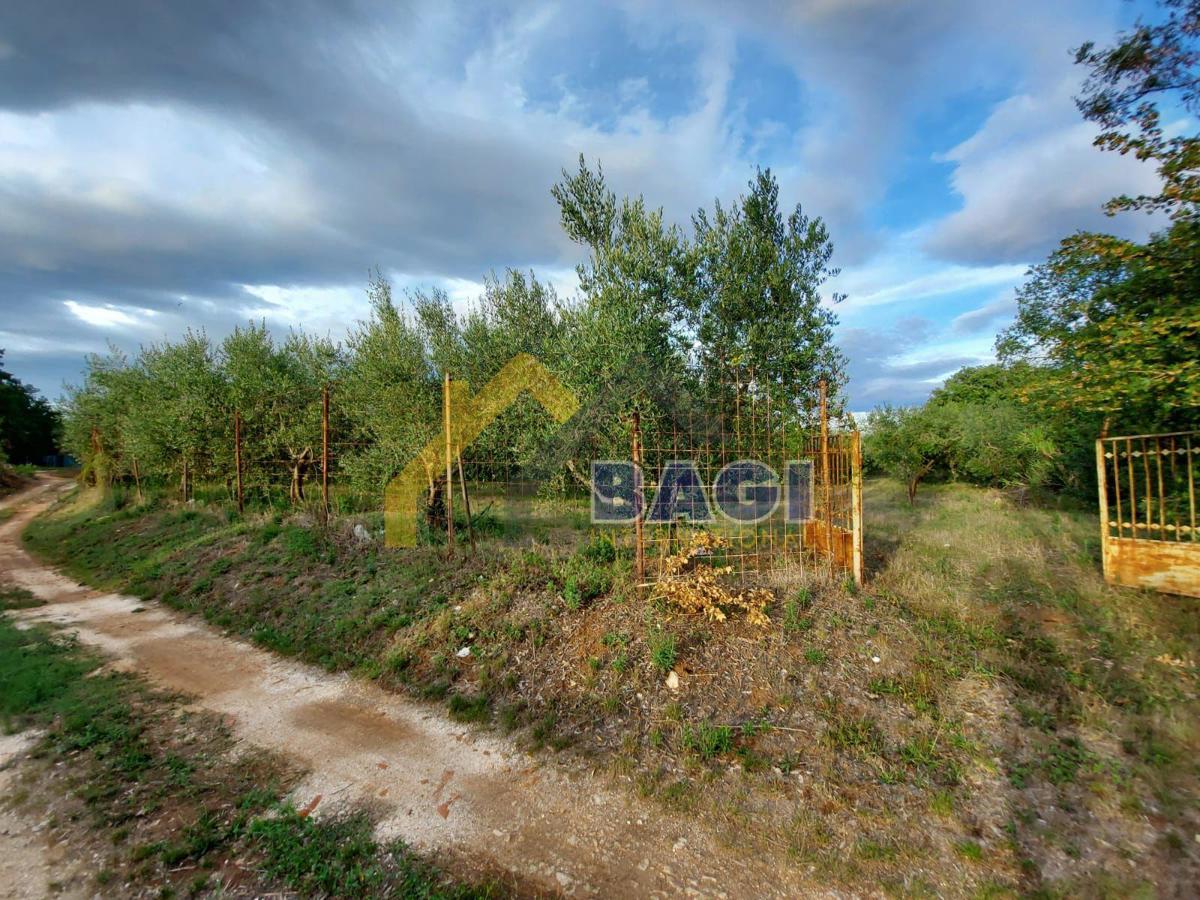 Terreni agricoli Medulin, 2.808m2