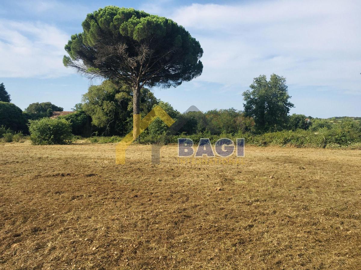 Parenzo-Kaštelir ampio terreno per la costruzione di diverse ville!