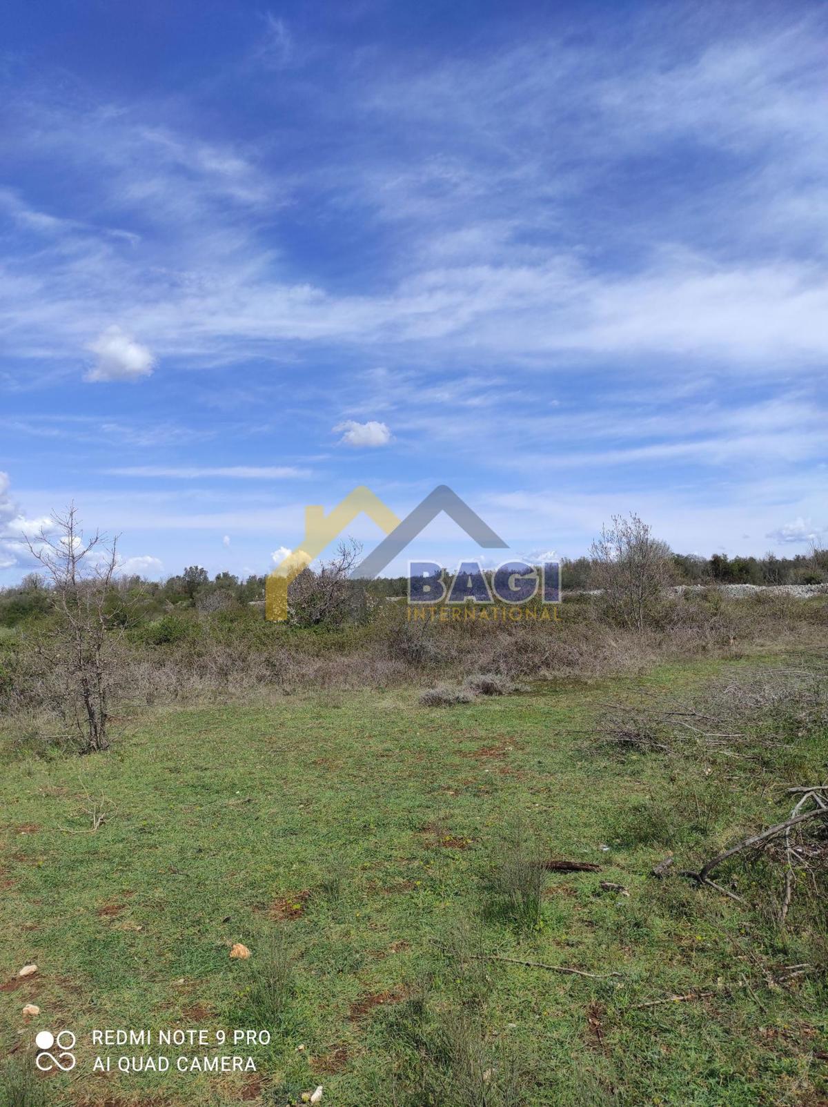 Terreni agricoli Vodnjan, 7.500m2