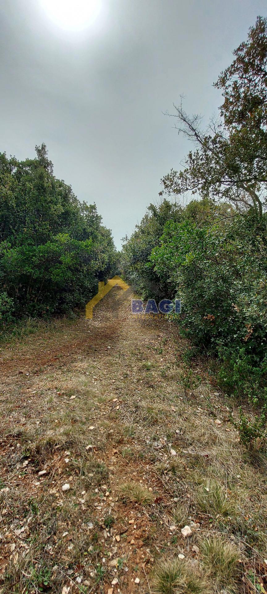 Terreno edificabile Duga Uvala, Marčana, 16.843m2