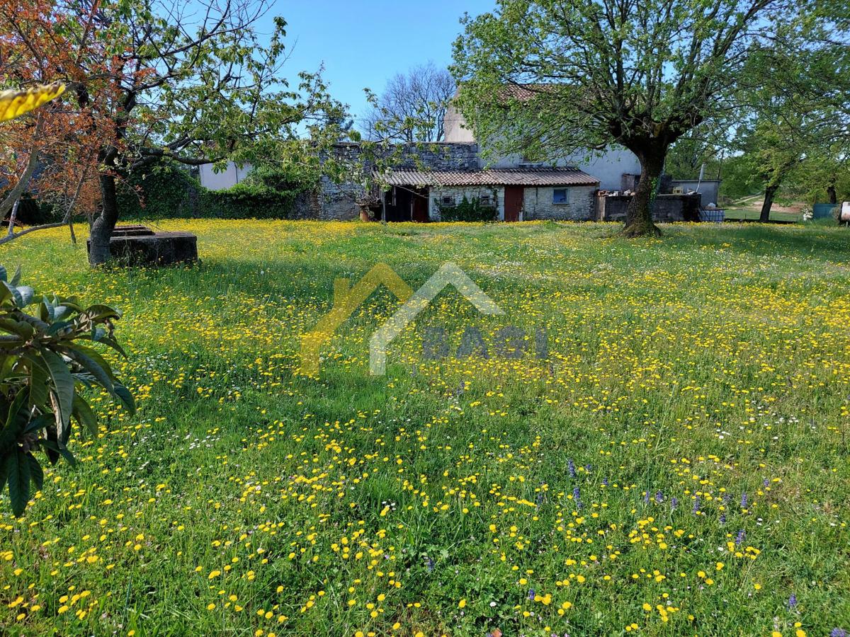 Casa Marasi, Sveti Lovreč, 210m2