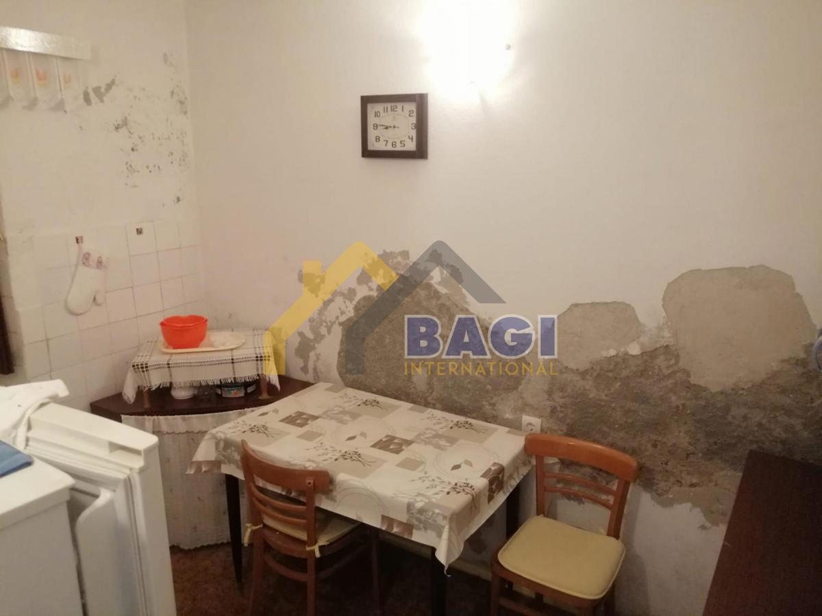 Casa Novigrad, 310m2