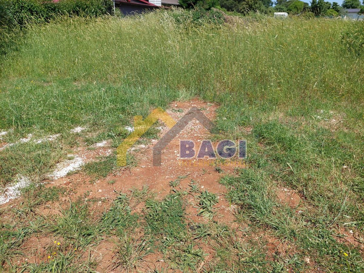 Bella terra Valbandon