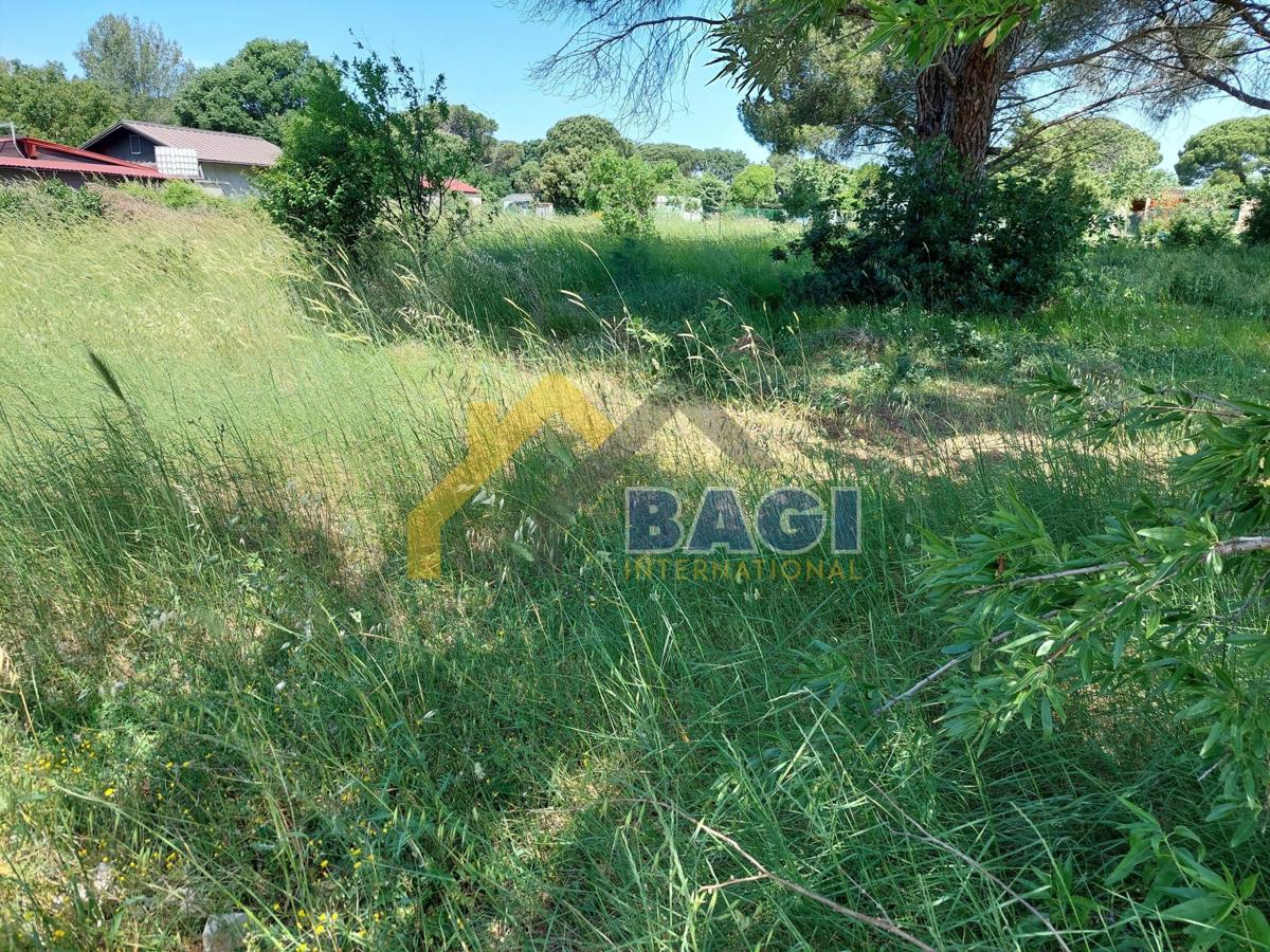 Bella terra Valbandon