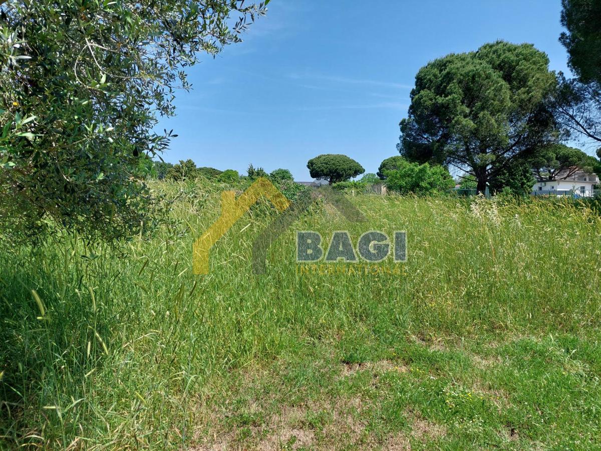 Bella terra Valbandon