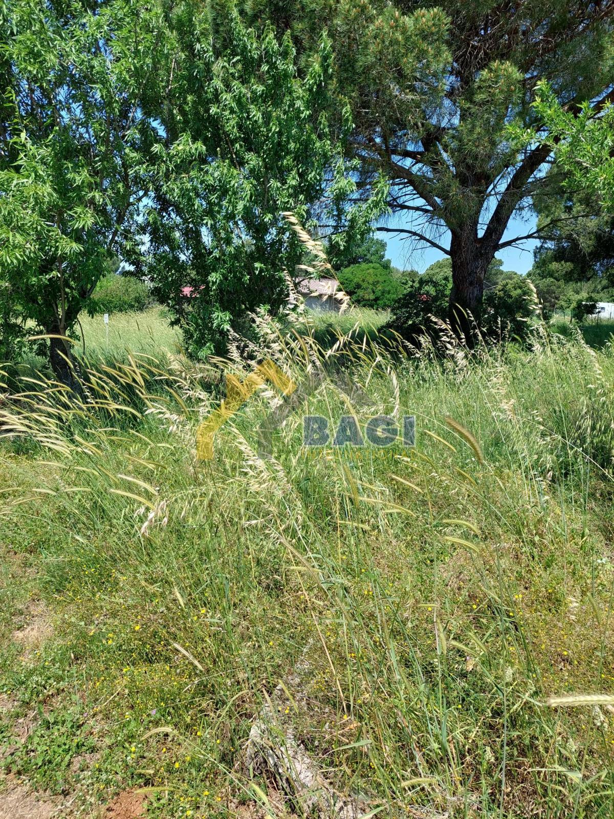 Bella terra Valbandon