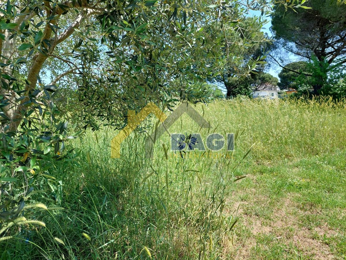 Bella terra Valbandon